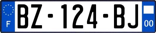 BZ-124-BJ