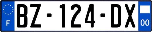 BZ-124-DX