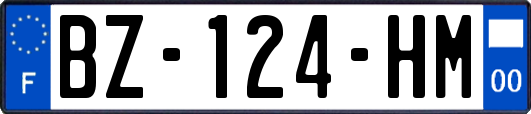 BZ-124-HM