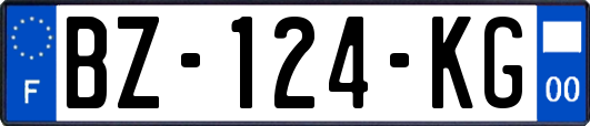 BZ-124-KG