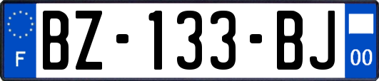 BZ-133-BJ