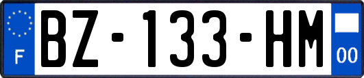 BZ-133-HM