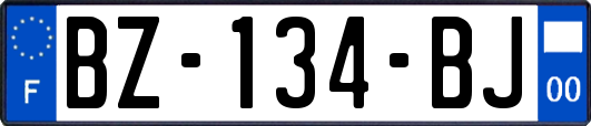 BZ-134-BJ