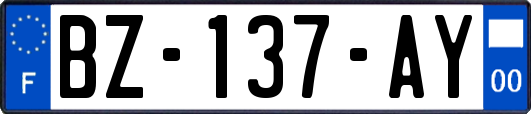 BZ-137-AY