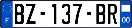 BZ-137-BR