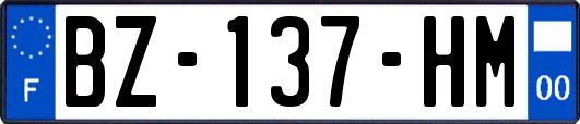 BZ-137-HM