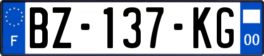 BZ-137-KG