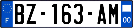 BZ-163-AM