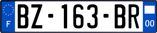 BZ-163-BR