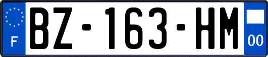 BZ-163-HM