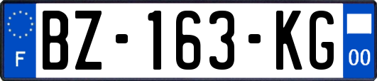 BZ-163-KG