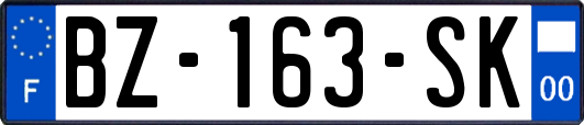 BZ-163-SK