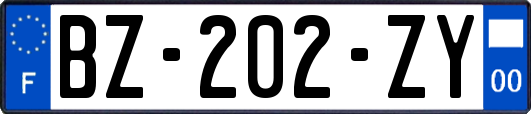 BZ-202-ZY