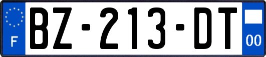 BZ-213-DT