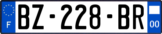 BZ-228-BR