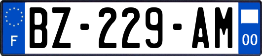 BZ-229-AM