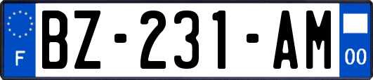 BZ-231-AM