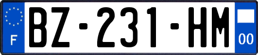 BZ-231-HM