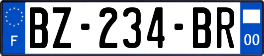 BZ-234-BR