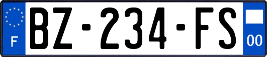 BZ-234-FS