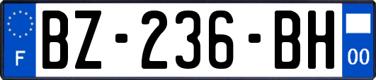 BZ-236-BH