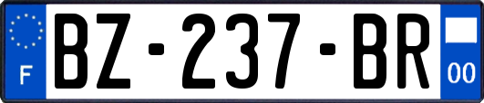 BZ-237-BR