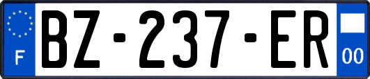 BZ-237-ER