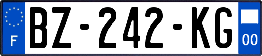 BZ-242-KG