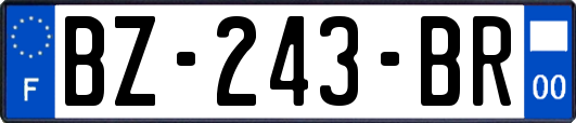 BZ-243-BR