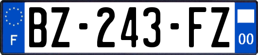 BZ-243-FZ