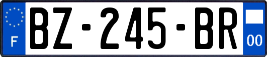 BZ-245-BR