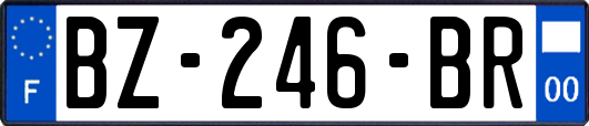 BZ-246-BR