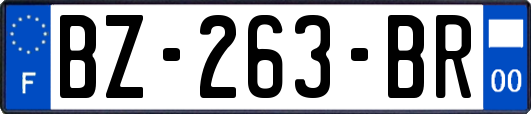 BZ-263-BR