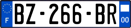 BZ-266-BR