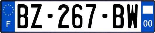 BZ-267-BW