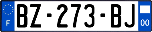 BZ-273-BJ