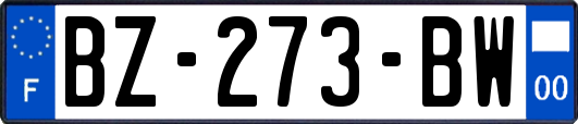 BZ-273-BW