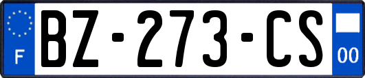 BZ-273-CS