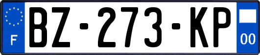 BZ-273-KP