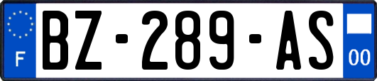 BZ-289-AS