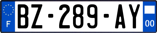 BZ-289-AY