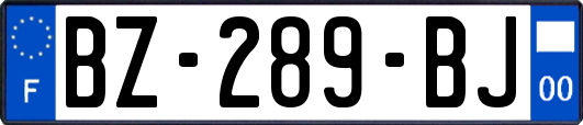 BZ-289-BJ