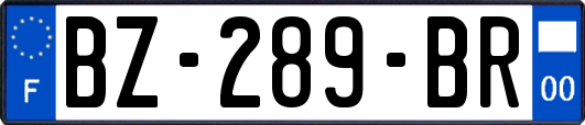 BZ-289-BR