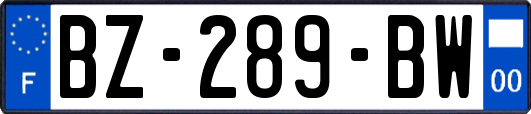 BZ-289-BW