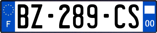 BZ-289-CS