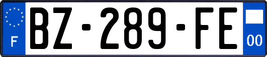 BZ-289-FE