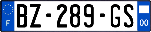 BZ-289-GS