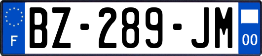 BZ-289-JM