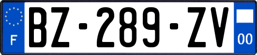 BZ-289-ZV