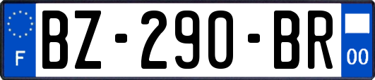 BZ-290-BR